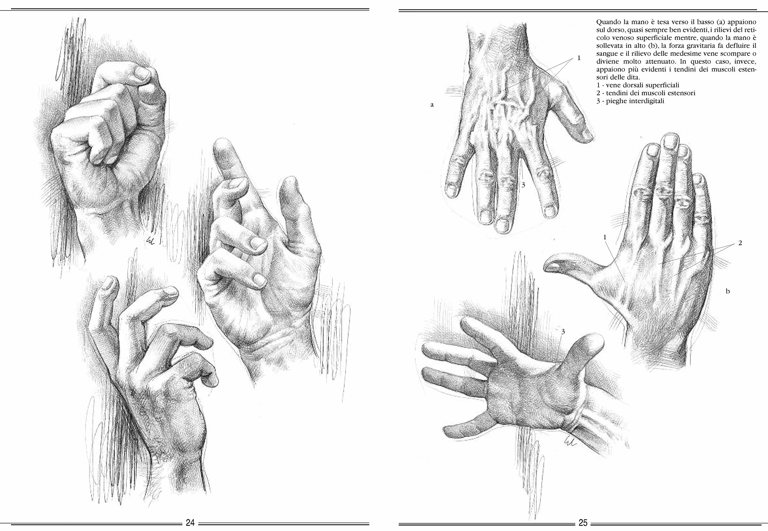 La mano e il piede